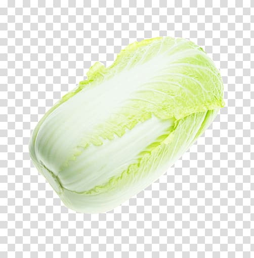Leaf vegetable, Delicious healthy cabbage transparent background PNG clipart