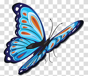 Butterfly , butterfly transparent background PNG clipart thumbnail