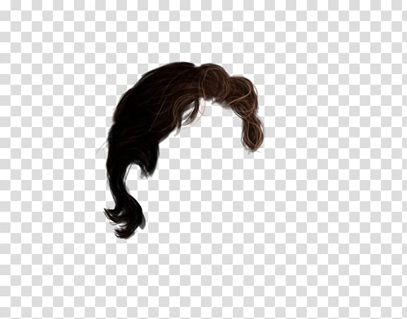 Hairstyle Lace wig , hair transparent background PNG clipart