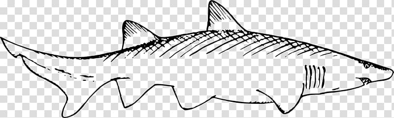 Shark Remora Black and white Marine mammal , shark transparent background PNG clipart