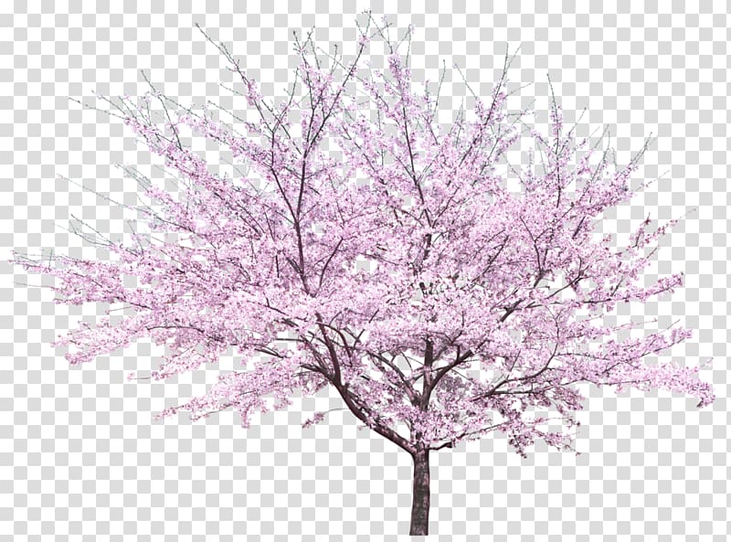pink peach tree taoyuan landscape decorative pattern transparent background PNG clipart