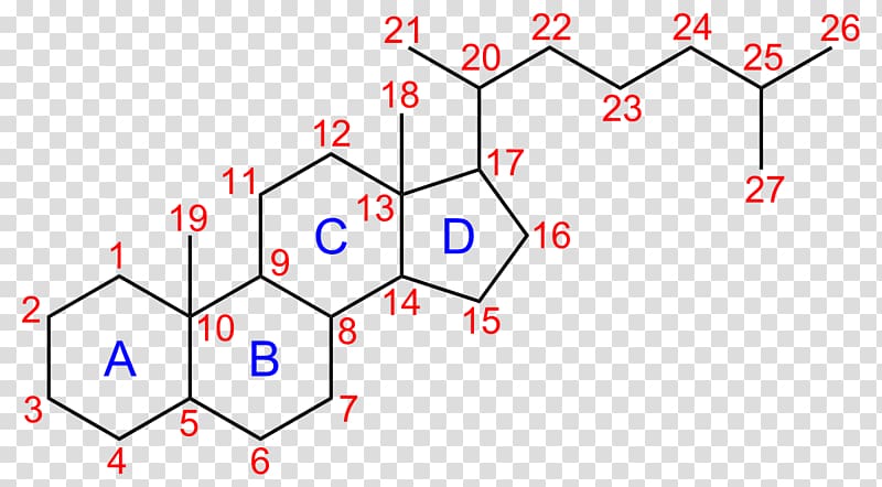 Cholesterol Steroid Sterane Lipid, molecular chain deductible transparent background PNG clipart
