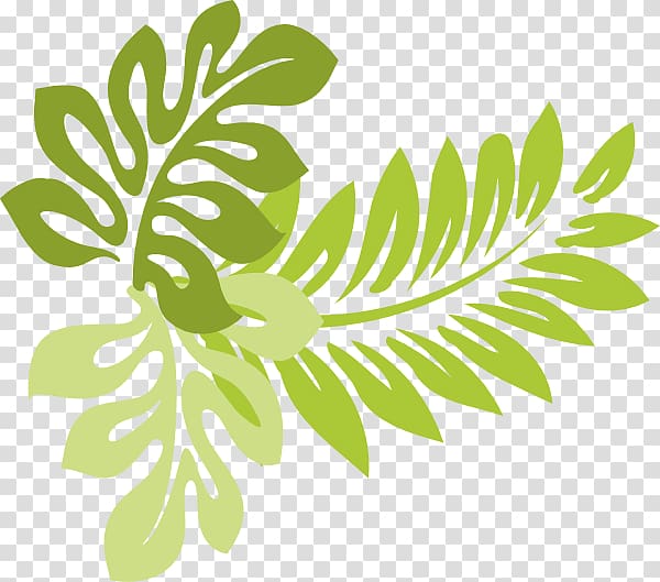 green leaves illustration, Hawaii Leaf , Buckeye Leaf transparent background PNG clipart