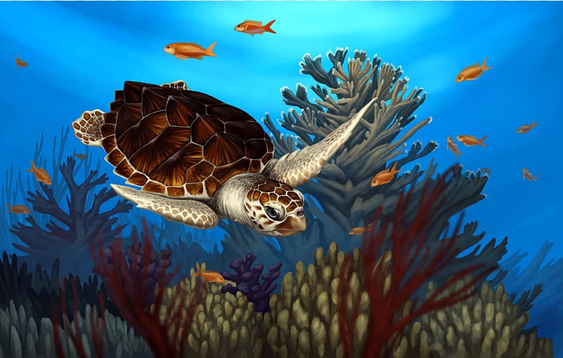 Loggerhead sea turtle Reptile Coral reef, turtle transparent background PNG clipart