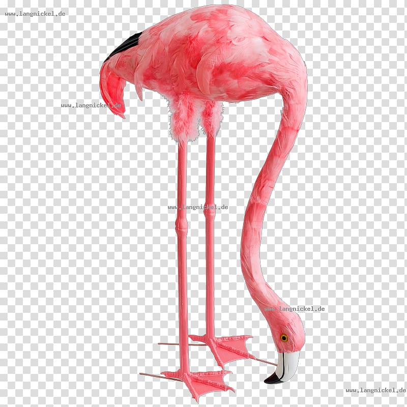 Flamingos Furniture Beak Industrial design, flamingo bilder comic transparent background PNG clipart
