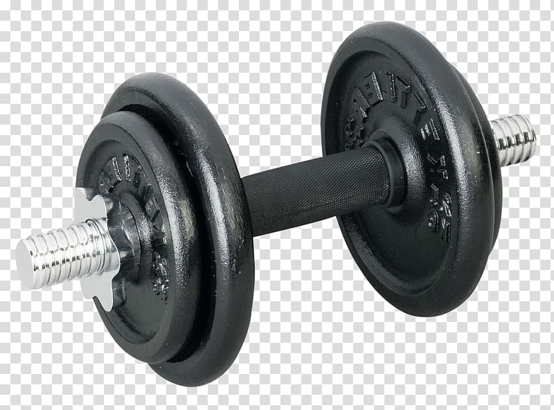 Dumbbell Portable Network Graphics Weight training Exercise, dumbbell transparent background PNG clipart