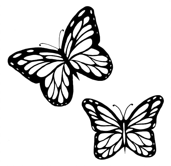 two butterflies illustration, Monarch butterfly Outline Drawing , Butterflies Black And White Outline transparent background PNG clipart
