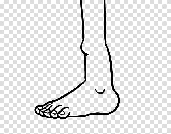 Finger Ankle Drawing Foot Human leg, Color Pour transparent background PNG clipart