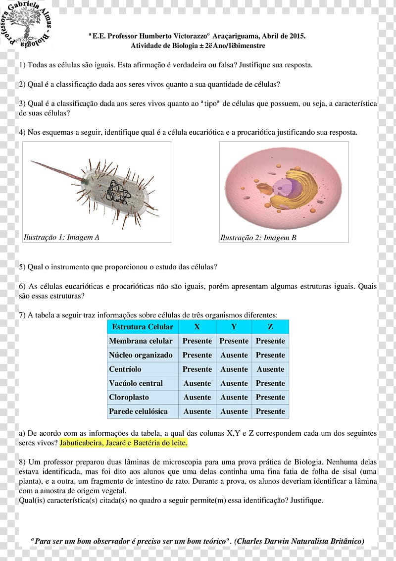 City University of Seattle Document Organism Line, line transparent background PNG clipart