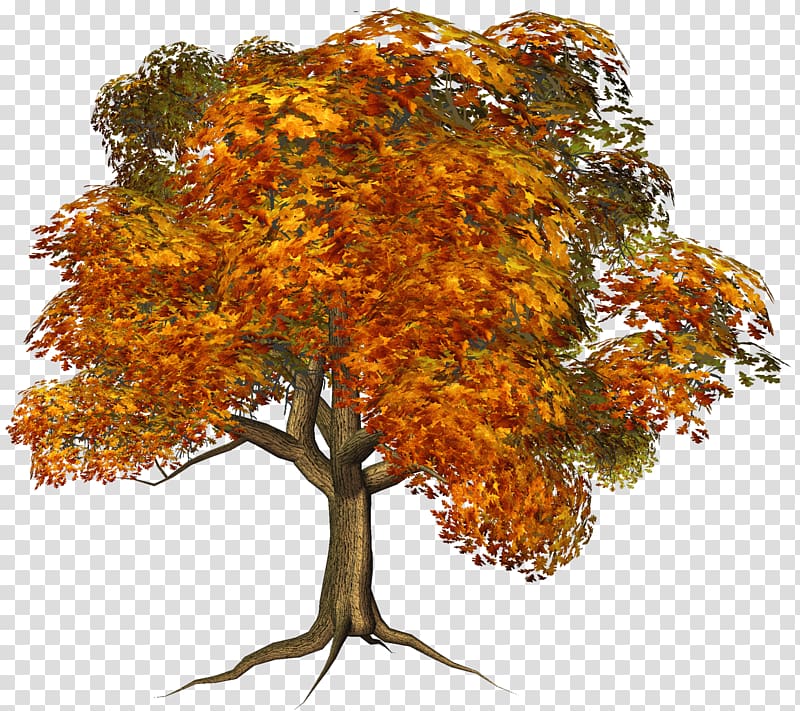 yellow tree illustration, Tree Autumn , Large Fall Tree transparent background PNG clipart