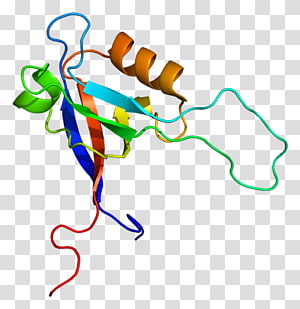 Line Point Organism , line transparent background PNG clipart thumbnail