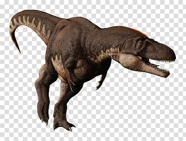 Tyrannosaurus Daspletosaurus Albertosaurus Tarbosaurus Pachyrhinosaurus, dinosaur transparent background PNG clipart