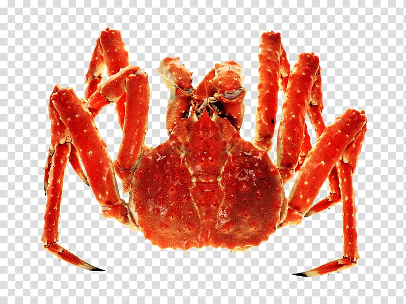 King crab Seafood, King crab legs transparent background PNG clipart
