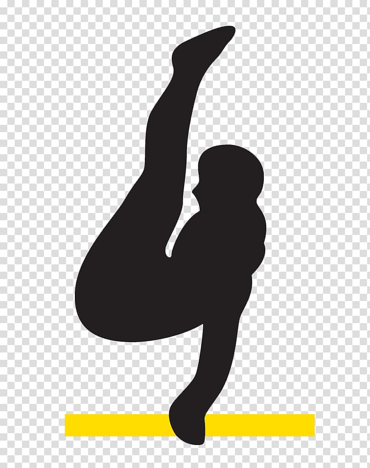 Aerobic gymnastics Physical fitness Artistic gymnastics , Pilates Barre transparent background PNG clipart