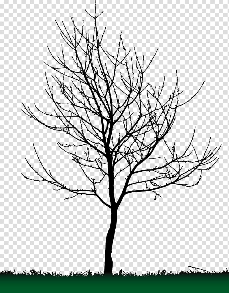 Tree Silhouette transparent background PNG clipart
