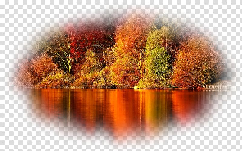 Desktop Screensaver Autumn iPhone 6, autumn transparent background PNG clipart