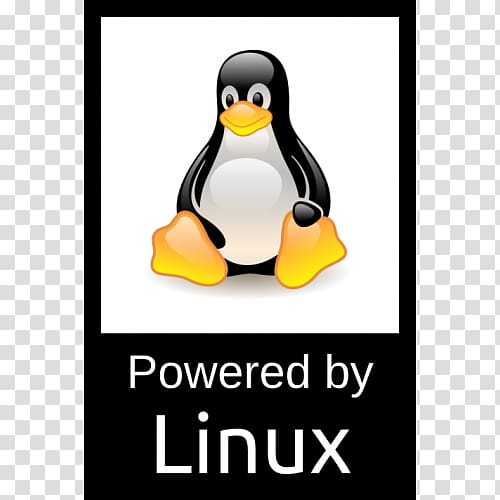 Penguin Tux Racer Linux Operating Systems, logo linux transparent background PNG clipart