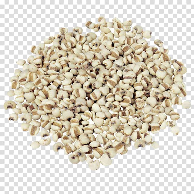 Adlay Rice Food Drinking Cereal, Spread of barley rice transparent background PNG clipart