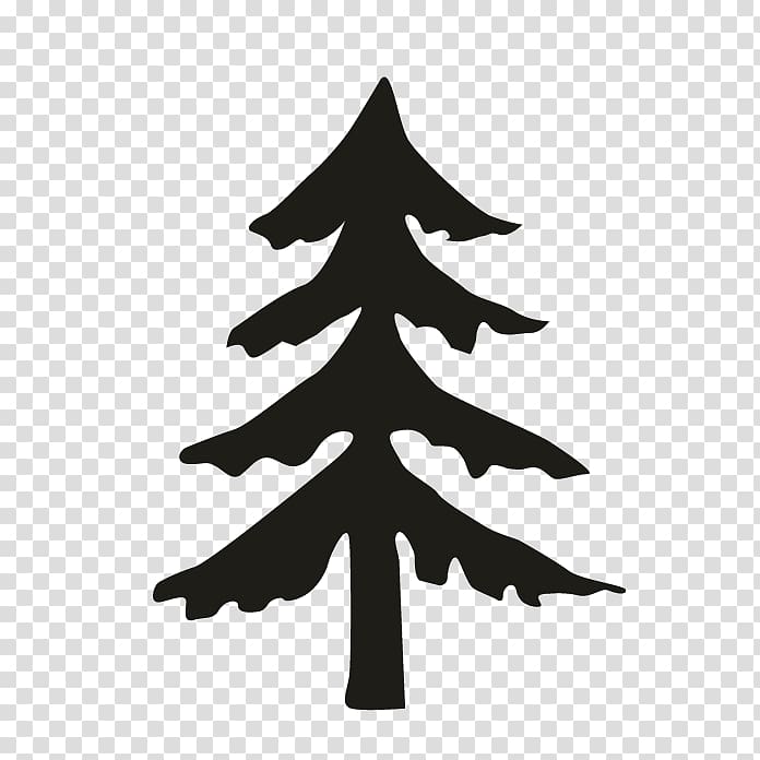 Fir Pine Spruce Christmas tree, Oakleaf Hydrangea transparent background PNG clipart