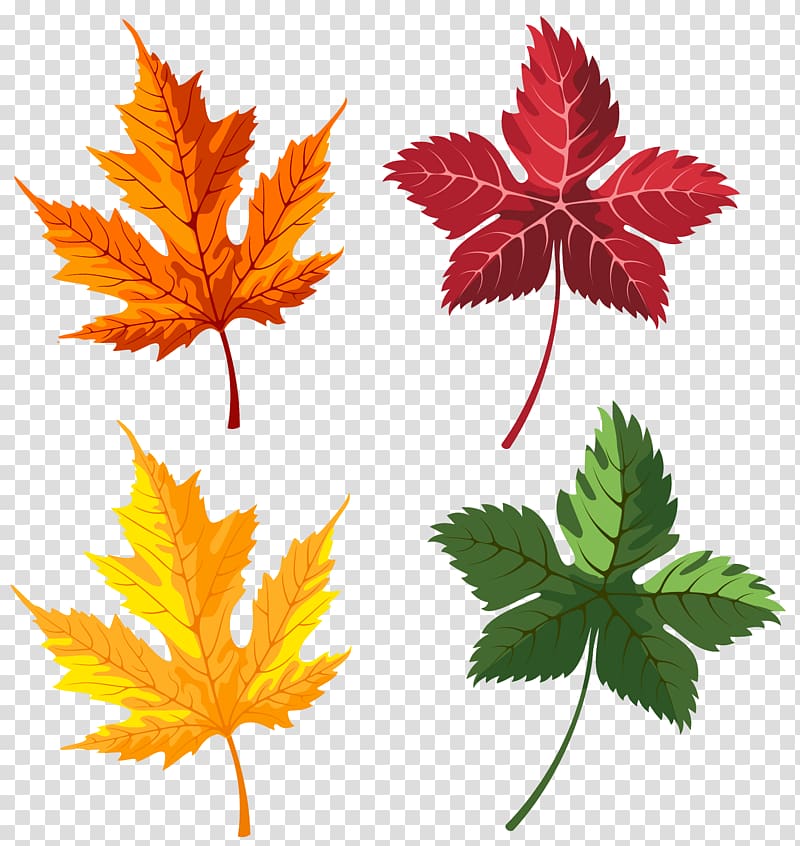 Red maple leaf clipart. Free download transparent .PNG