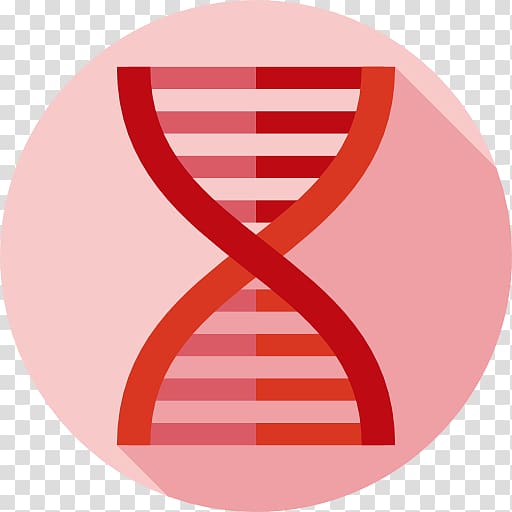 DNA Genetics Biology Molecular Structure of Nucleic Acids: A Structure for Deoxyribose Nucleic Acid Chemistry, transparent background PNG clipart