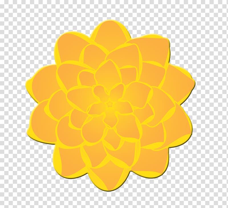 Mexican marigold Calendula officinalis Flower Free content , Marigold transparent background PNG clipart