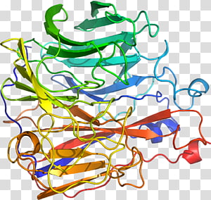 Line Point Organism , line transparent background PNG clipart thumbnail