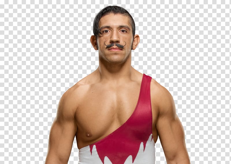 Simon Gotch The Vaudevillains WWE Superstars WWE 2K17 Professional Wrestler, wrestler transparent background PNG clipart Simon Gotch The Vaudevillains WWE Superstars WWE 2K17 Professional Wrestler, wrestler transparent background PNG clipart