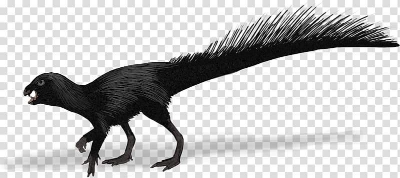 Heterodontosaurus Evolution Canidae History Future, Poposaurus transparent background PNG clipart