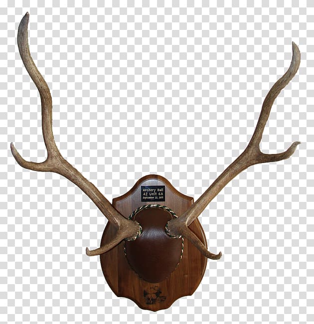 Deer Antler Trophy hunting Horn Animal product, antlers transparent background PNG clipart