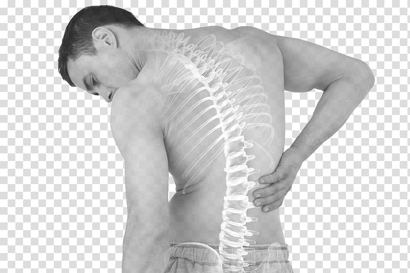 Human back Abdominal pain Low back pain Middle back pain Disease, back pain transparent background PNG clipart