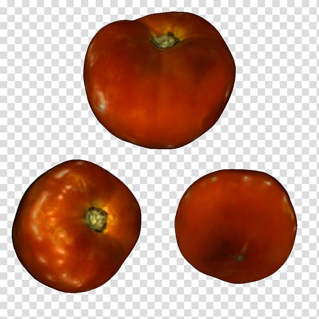 3D printing Threeding 3D modeling ZBrush, tomato watercolor transparent background PNG clipart