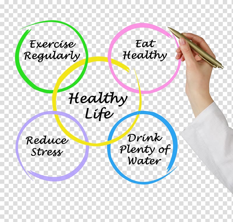 constitute a healthy life transparent background PNG clipart