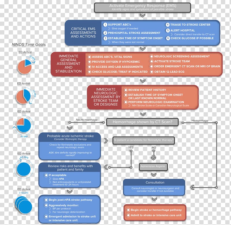 Advanced cardiac life support National Institute of Neurological Disorders and Stroke Algorithm Basic life support, algorithm transparent background PNG clipart