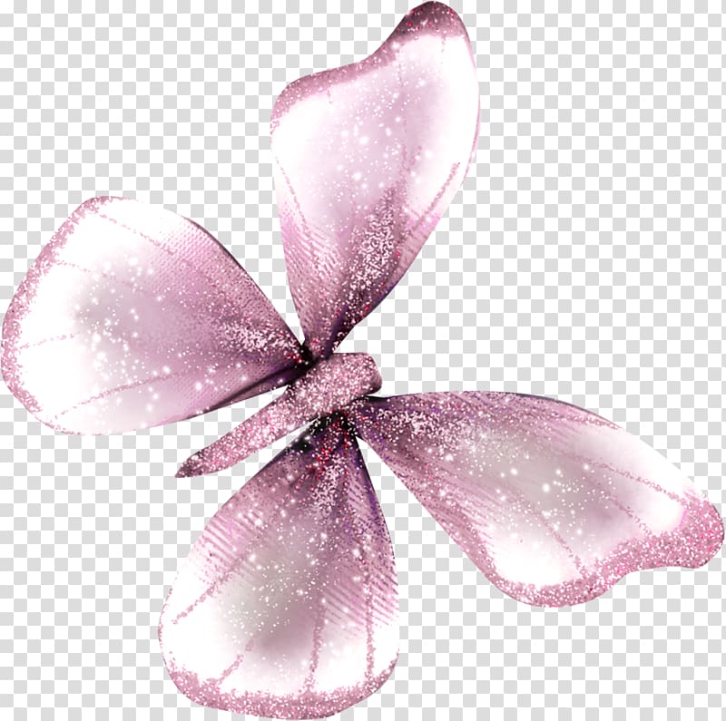 Butterfly Papillon dog Insect , Papillon transparent background PNG clipart