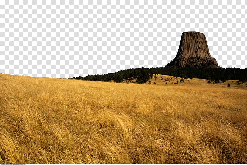 Devils Tower Tourist attraction National park, USA Devils Tower Attractions transparent background PNG clipart