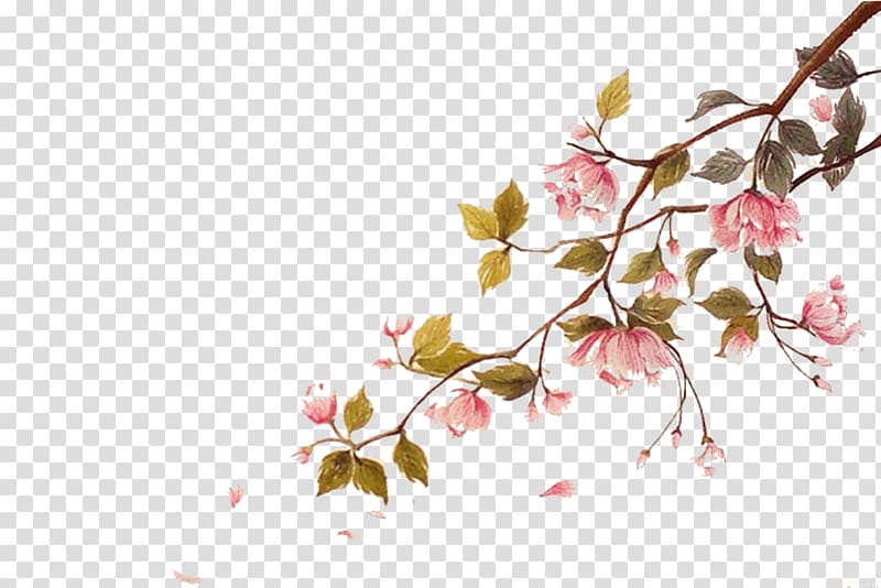 pink flowers illustration, Cherry blossom Watercolor painting Ci, Falling cherry blossoms float material transparent background PNG clipart