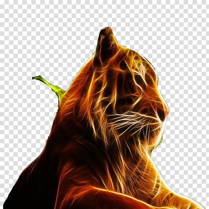 Tiger Felidae High-definition television Display resolution , Fire Jaguar transparent background PNG clipart