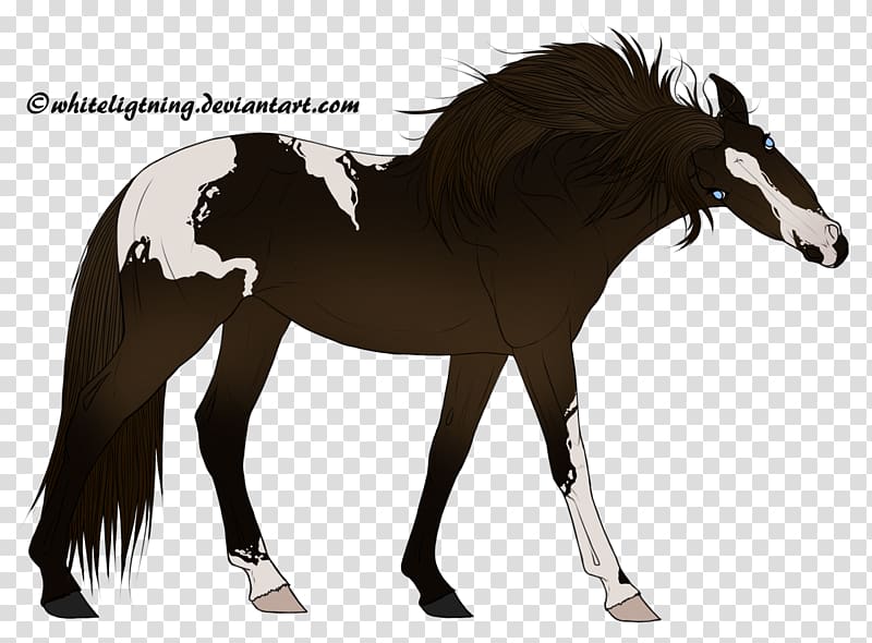 Mustang Foal Stallion Colt Mare, the asterisk war transparent background PNG clipart