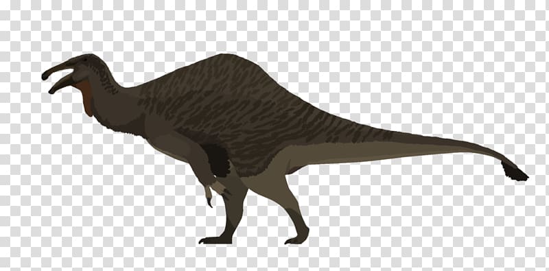 Beak Velociraptor Flightless bird Tyrannosaurus, barosaurus transparent ...
