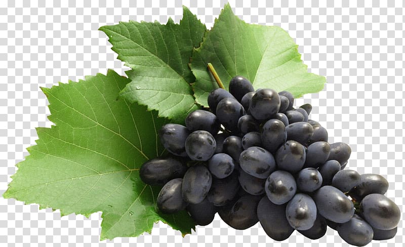 Kyoho Zante currant Grape , Grapes transparent background PNG clipart