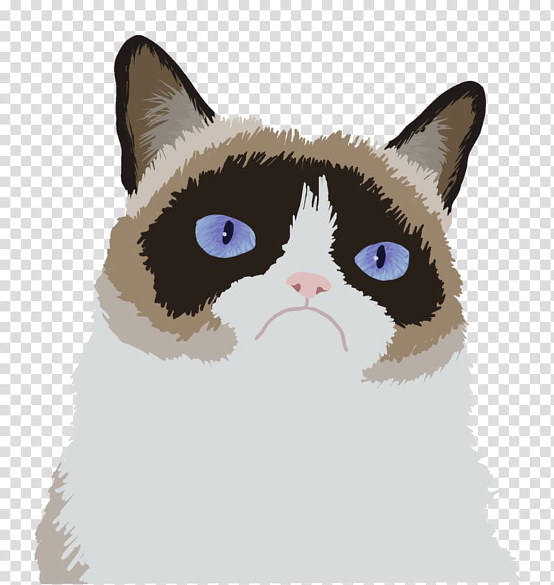 Grumpy Cat Kitten Cat Food Portable Network Graphics, Cat transparent background PNG clipart
