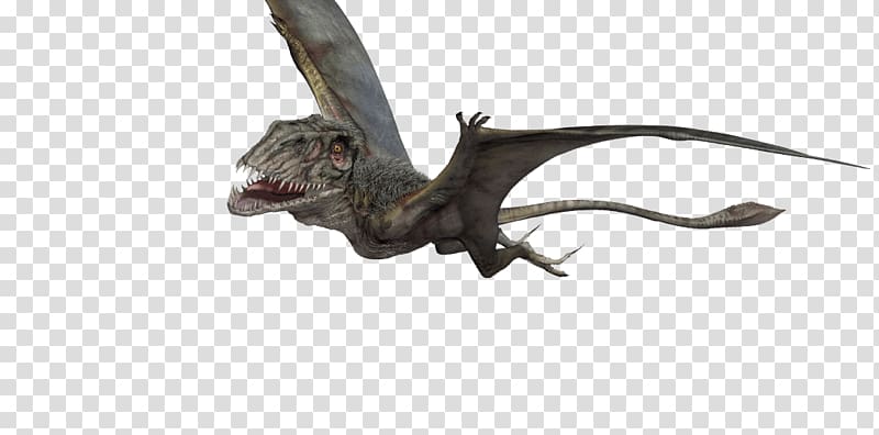 Dimorphodon Pteranodon Velociraptor Pterosaurs Jurassic Park, COCODRILO transparent background PNG clipart
