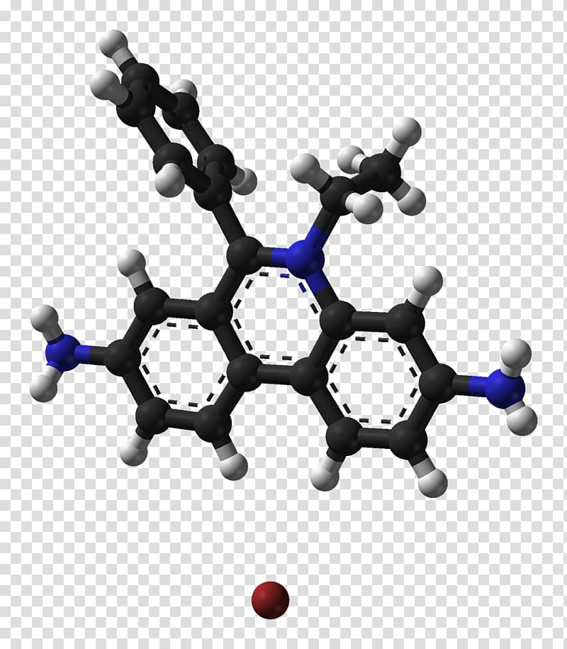 Ethidium bromide Sodium bromide Fluorescence Molecule, b. transparent background PNG clipart