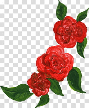 red flowers , Cut flowers Garden roses Flower bouquet, red flower transparent background PNG clipart thumbnail