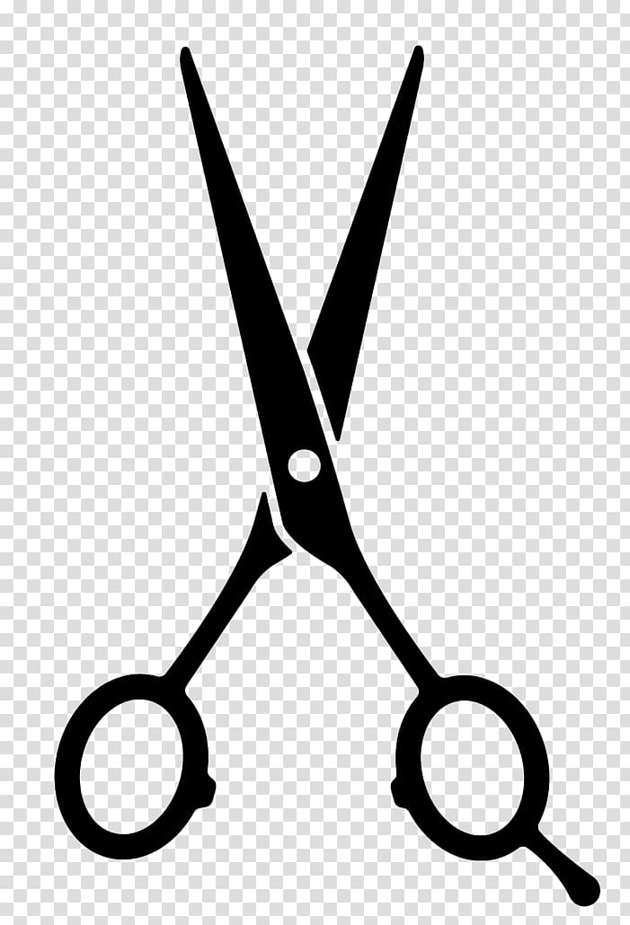 Hair Cutting Shears Barber Scissors