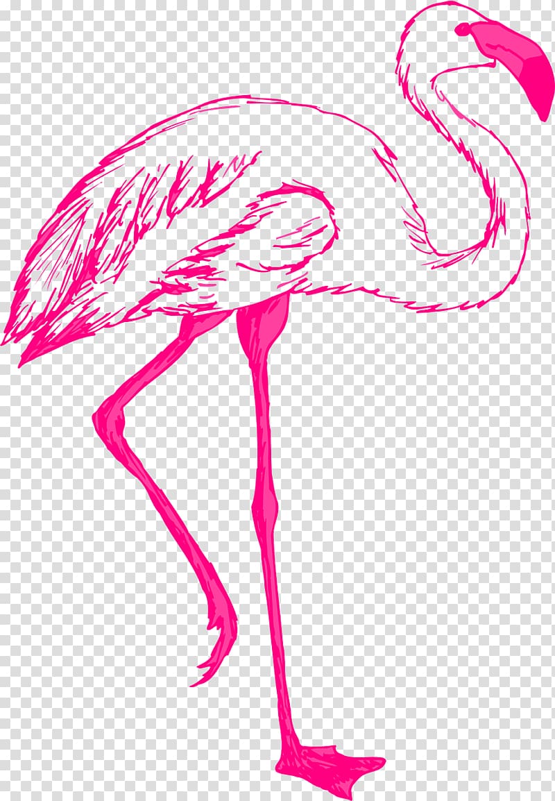 Flamingo Free , flamingo transparent background PNG clipart
