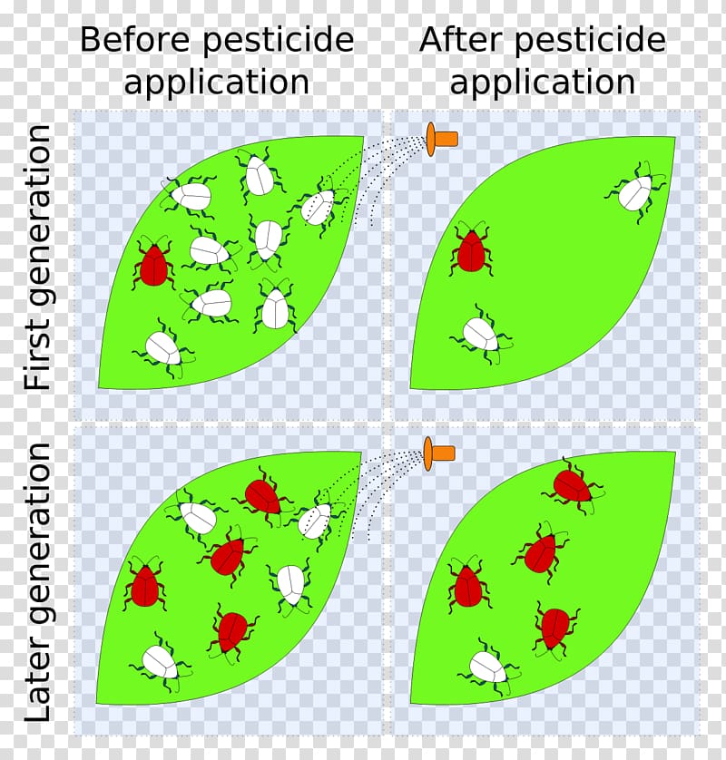 Insecticide Pesticide resistance, cartoon pathogen transparent background PNG clipart