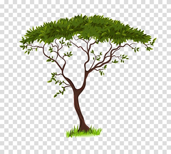 Savanna Silhouette , World tree transparent background PNG clipart