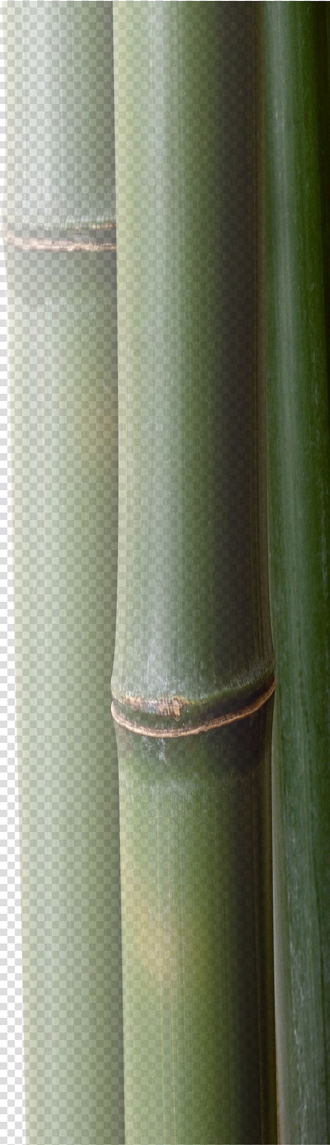 Plant stem Cylinder, bamboo transparent background PNG clipart